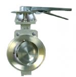 High Performance Butterfly Valve